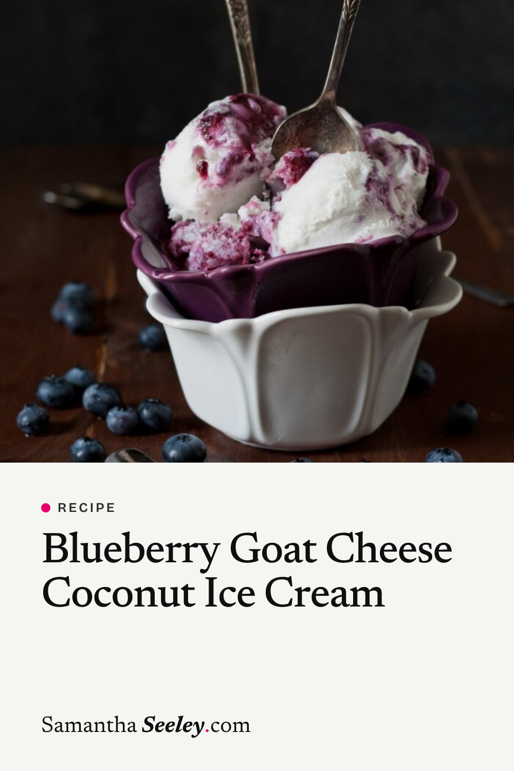 Blueberry Goat Cheese Coconut Ice Cream