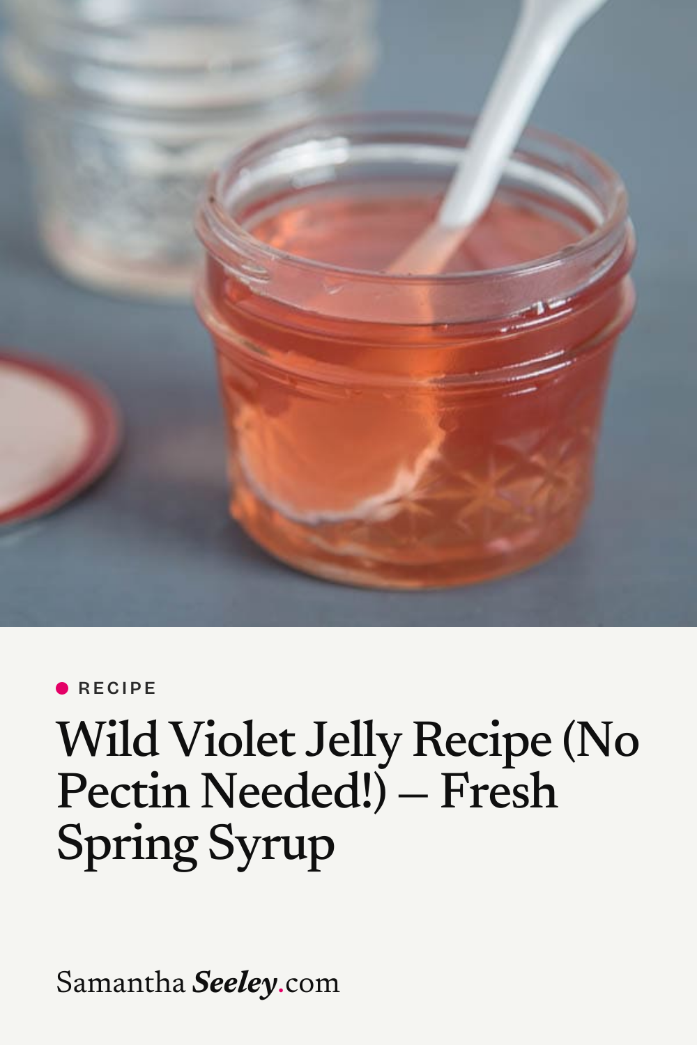 Wild Violet Jelly Recipe (No Pectin Needed!) — Fresh Spring Syrup